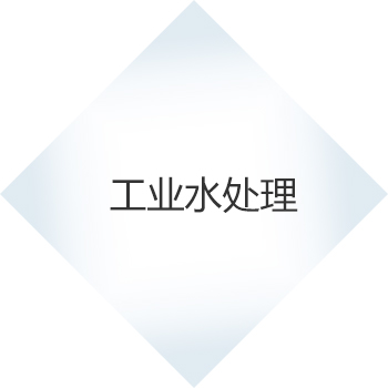 產品1